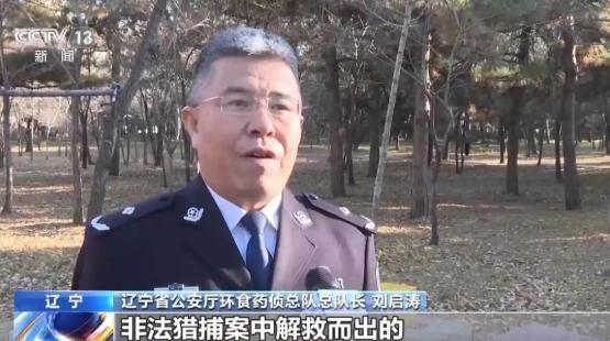 辽宁公安严打危害鸟类犯罪 已放飞1.35万只野生鸟类