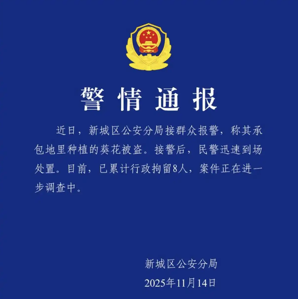 呼和浩特百亩葵花田遭哄抢，警方行拘8人，律师：参与哄抢者需承担民事赔偿