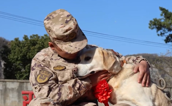 依依不舍！此刻，让我们向&ldquo;汪汪队&rdquo;致敬