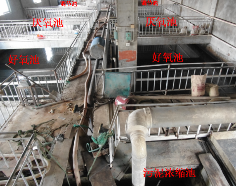 舟山一公司发生中毒致3人死亡事故被通报：盲目施救致伤亡扩大